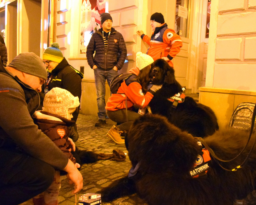 Tak WOŚP grała w Bielsku w 2020 roku