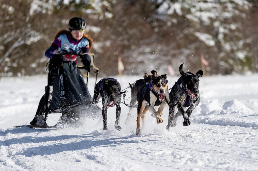Musher z Jasienicy