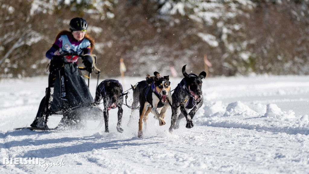 Musher z Jasienicy