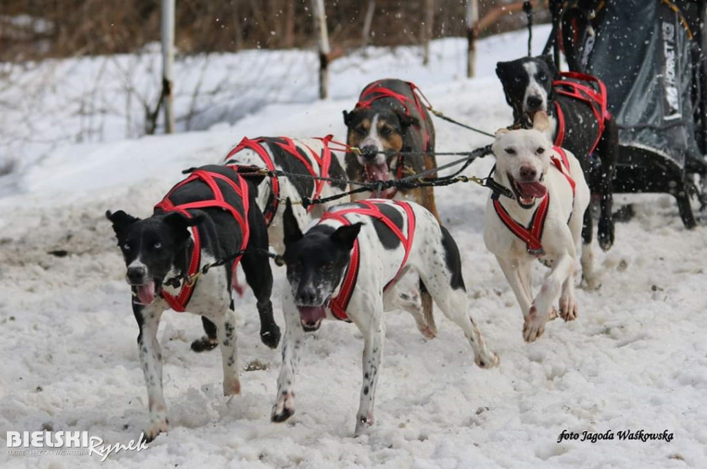 Musher z Jasienicy