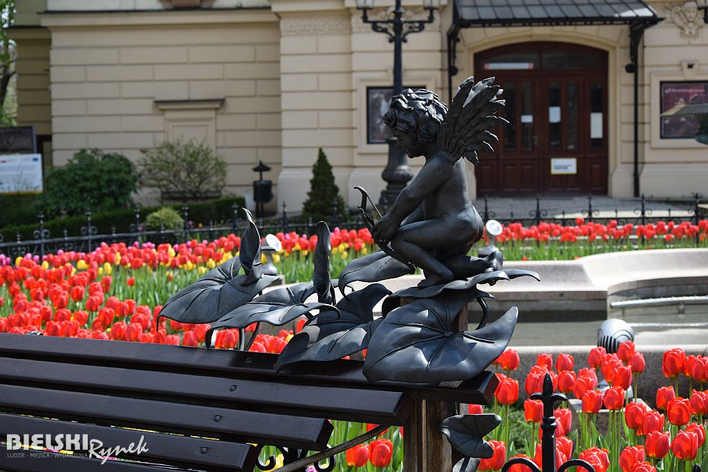 Bielsko-Biała w tulipanach