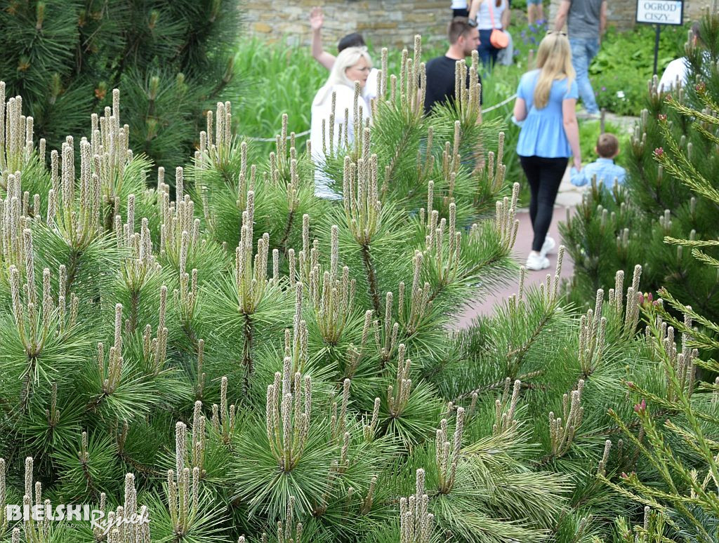 Wszystkie barwy ogrodów Kapias