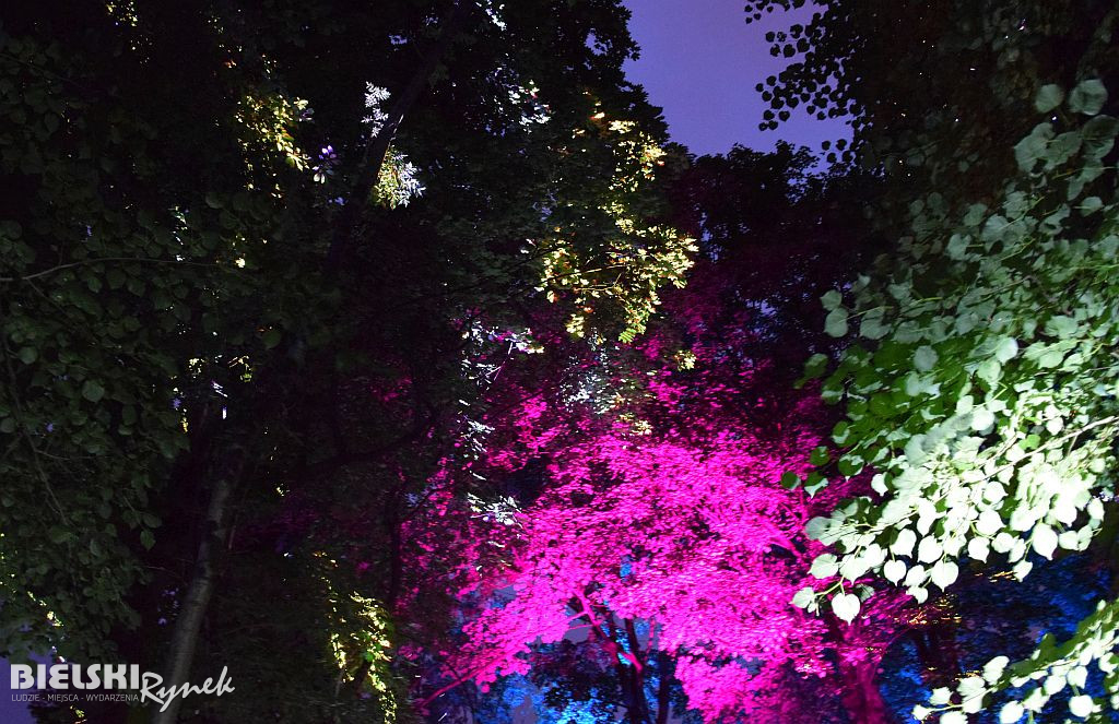 Noc iluminacji na Zielonej Plaży Miejskiej