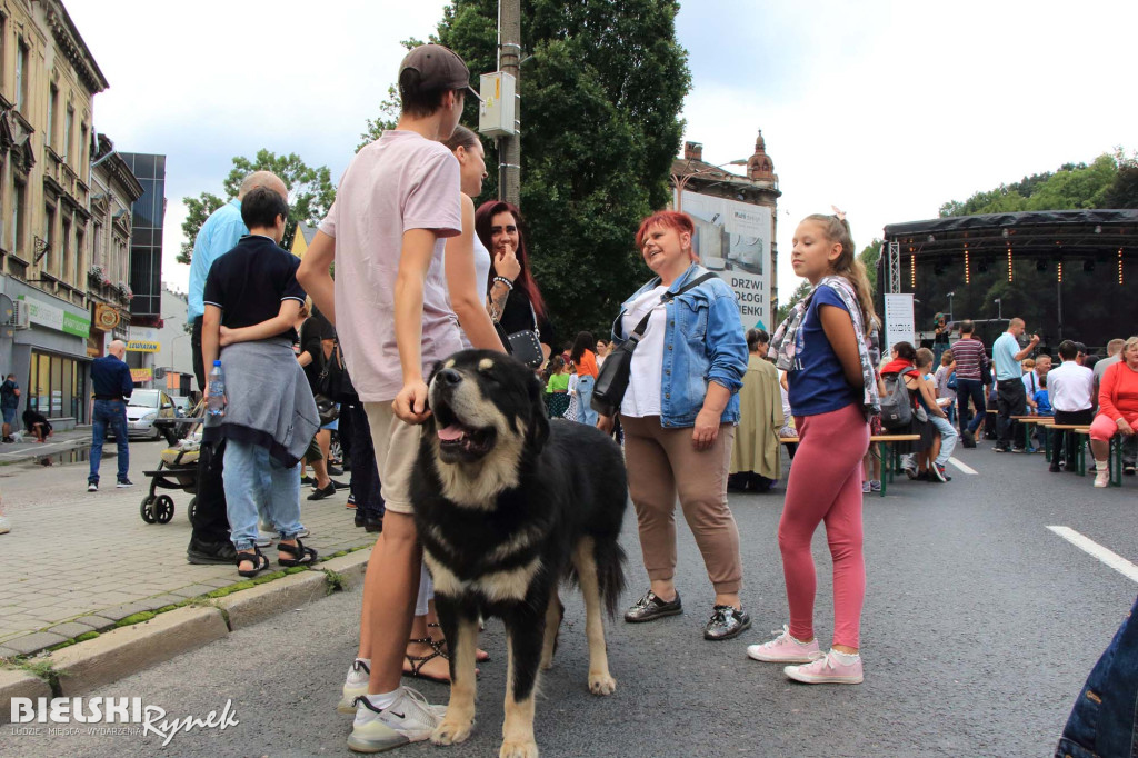 Piknik z kFIATem Domów Kultury.