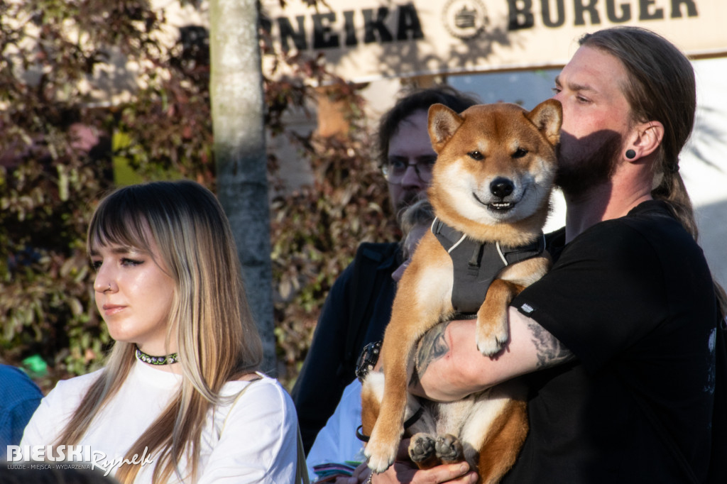 Od Jana do Iwana - świętojańska impreza na placu Wojska Polskiego