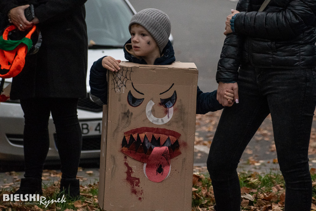 Marsz Strachów po raz trzeci przeszedł ulicami Bielska-Białej