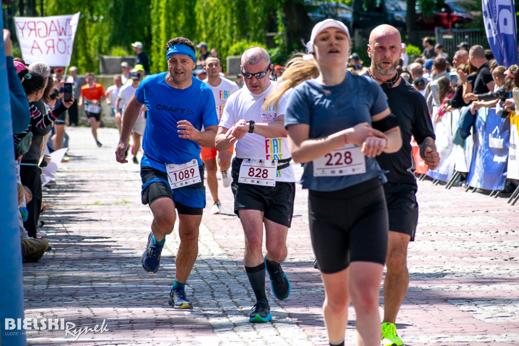 31. Bieg Fiata w Bielsku-Białej - 1500 zawodników na starcie
