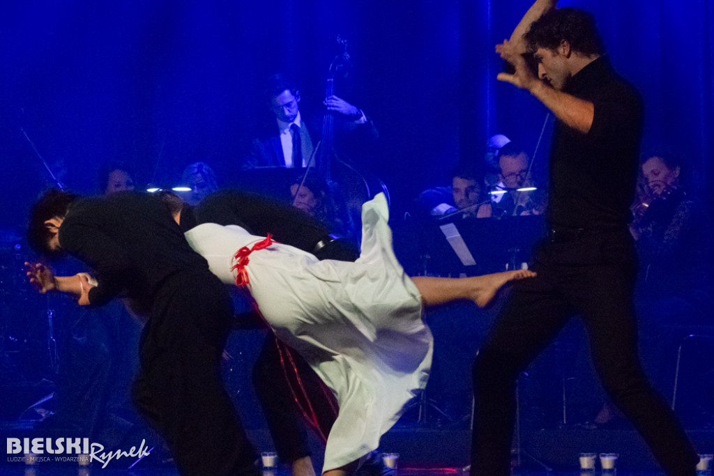 PIEŚNI KRONIKARZA - widowisko muzyczne