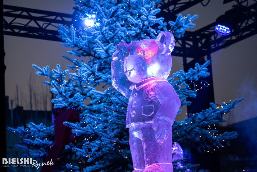 Misiowe święto na placu Wojska Polskiego