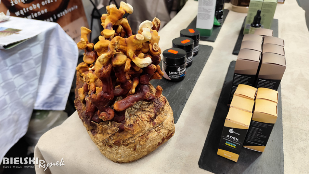 Targi EkoTrendy w Bielsku-Białej