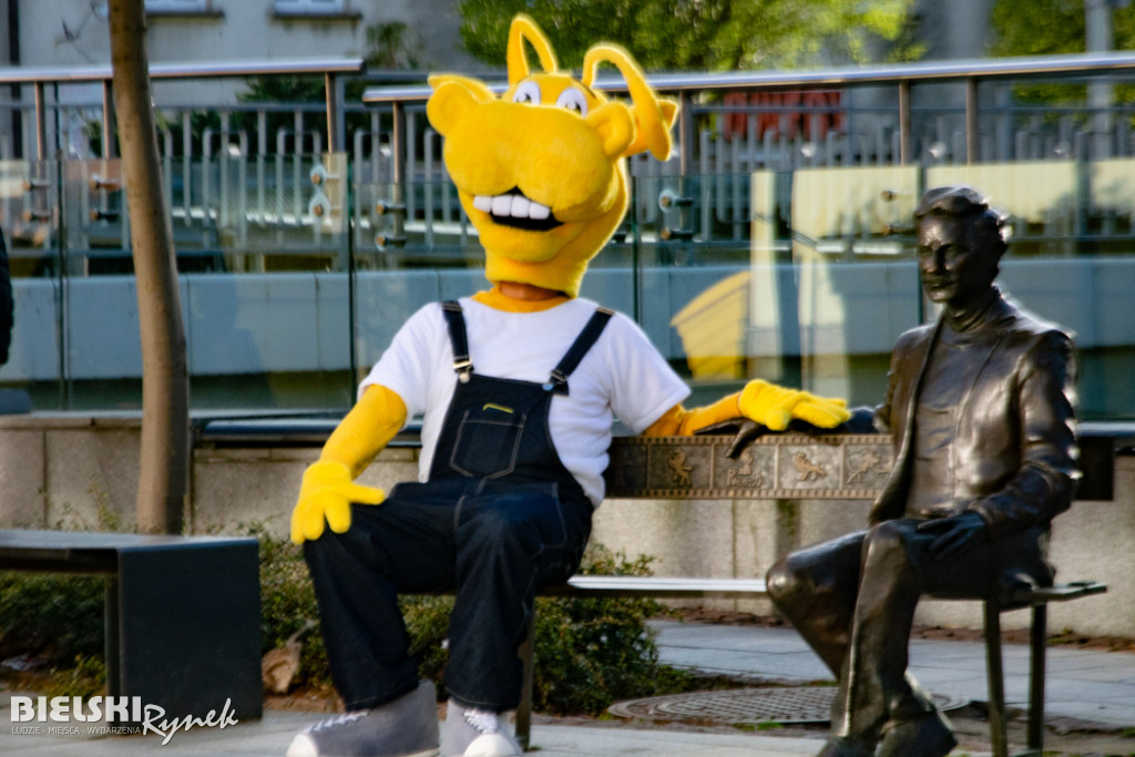 Tropami niezwykłej trójki ulicami Bielska-Białej