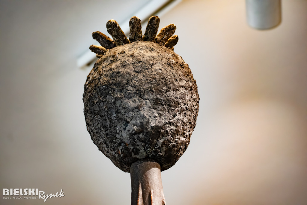 UKORZENIANIE - wystawa Pawła Matyszewskiego