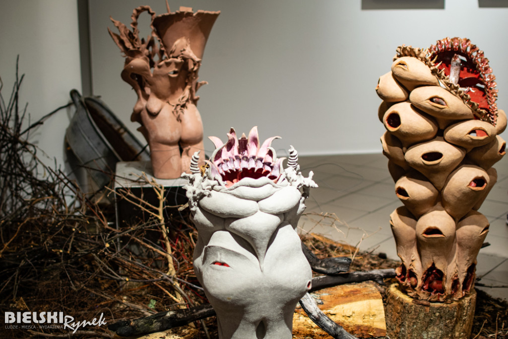 UKORZENIANIE - wystawa Pawła Matyszewskiego