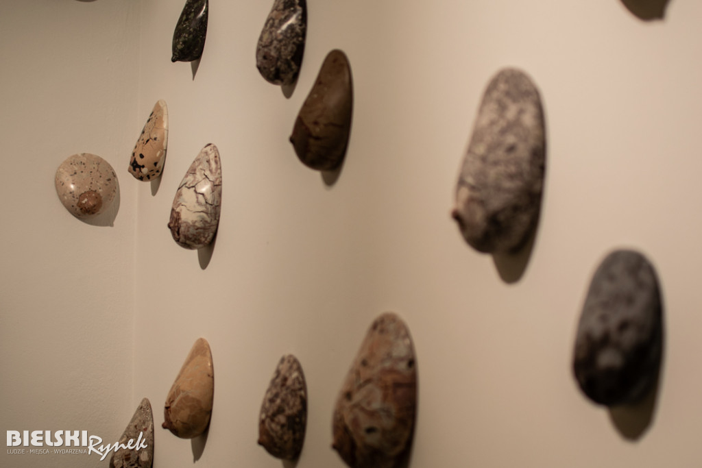 UKORZENIANIE - wystawa Pawła Matyszewskiego