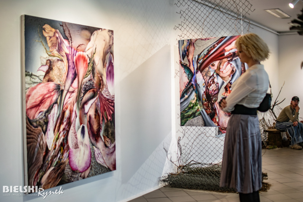 UKORZENIANIE - wystawa Pawła Matyszewskiego