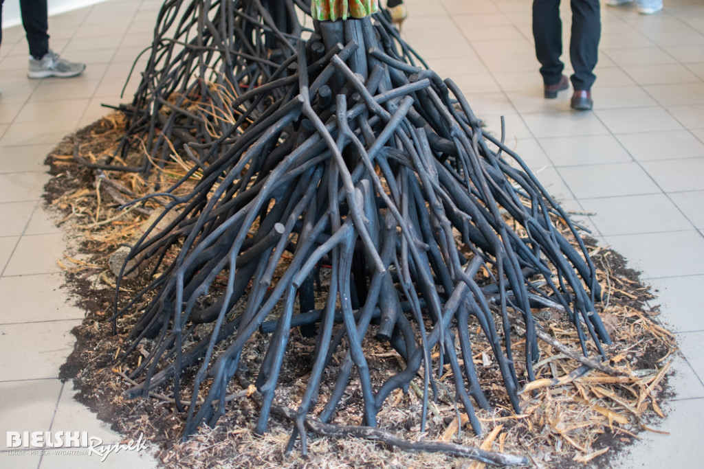 UKORZENIANIE - wystawa Pawła Matyszewskiego