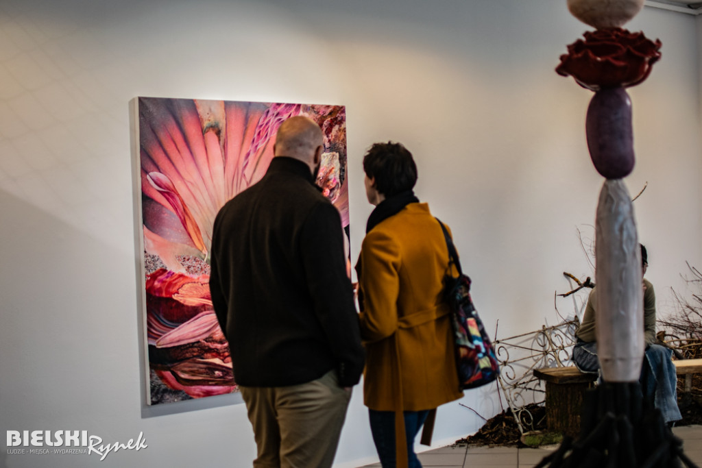 UKORZENIANIE - wystawa Pawła Matyszewskiego