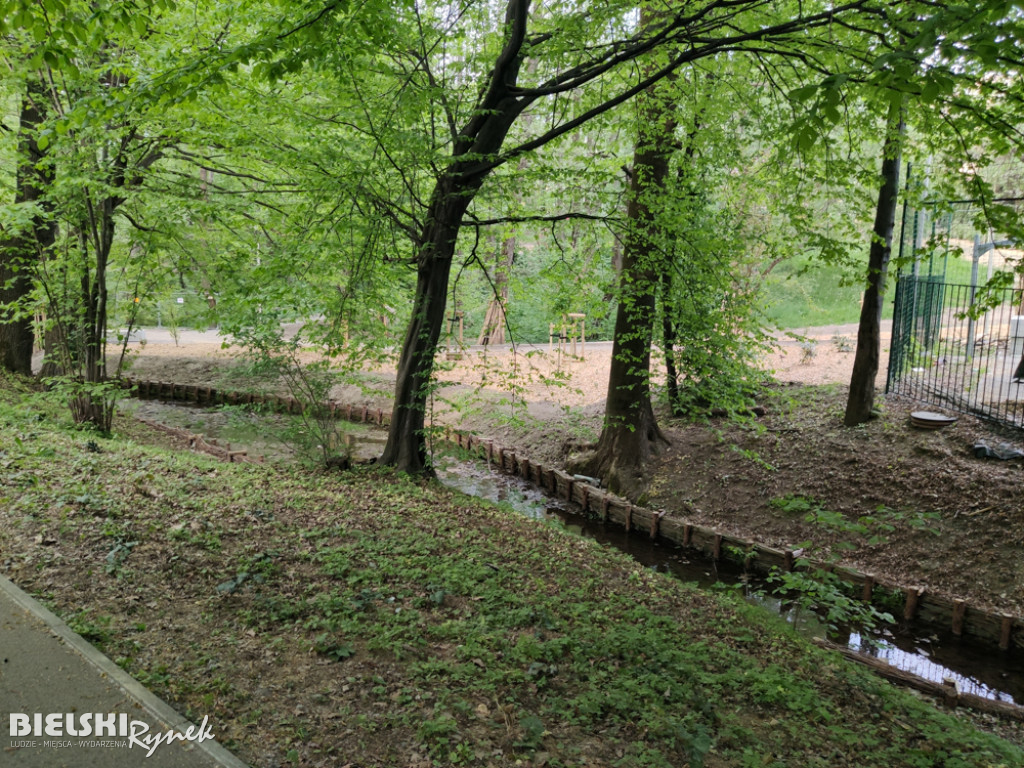 Z placu budowy w parku Skarżyńskiego