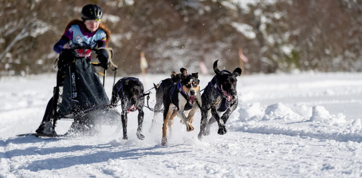 Musher z Jasienicy. Pasja w klimatach Alaski