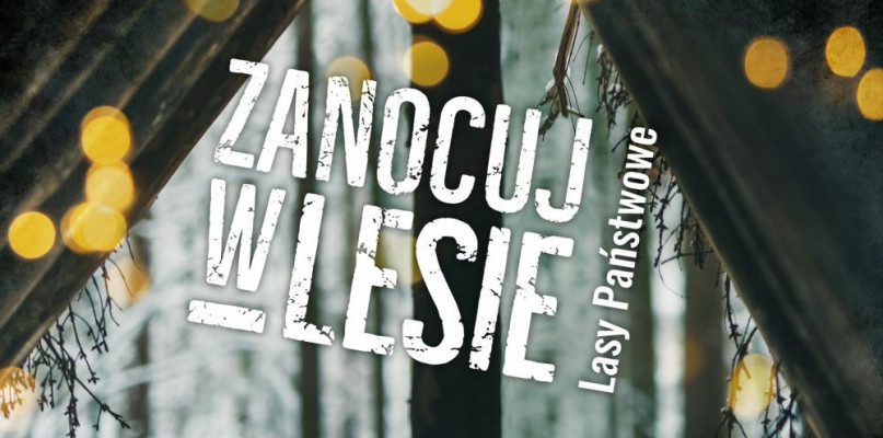 Bushcraft i survival w Nadleśnictwie Bielsko
