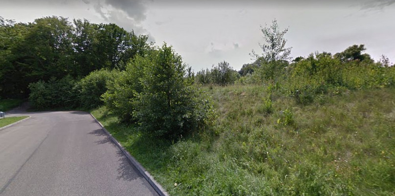 Zielony parking przy lasku Bathelta pomieści 116 samochodów