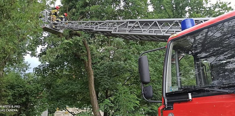 Zdjęcie: FB/ OSP Lipowiec w Czechowicach-Dziedzicach