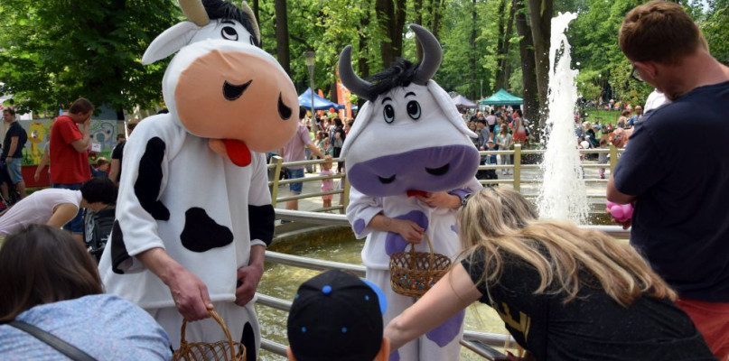 Piknik rodzinny MDK jest Super