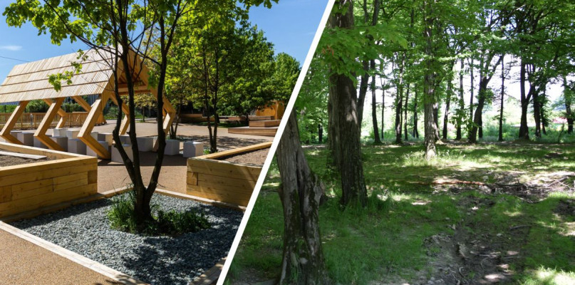 Nowe oblicze Lasku Bathelta