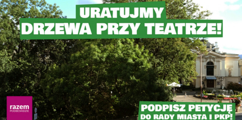 Lewica Razem Podbeskidzie apeluje w obronie drzew przy Teatrze Polskim 