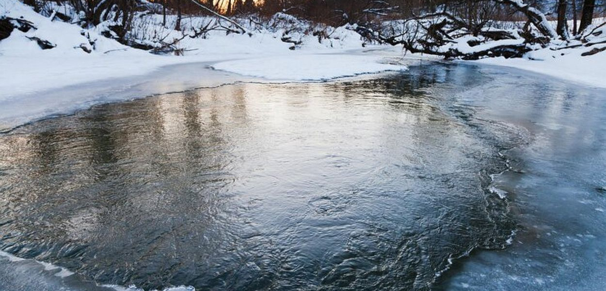 Zamarznięte brzegi stawu