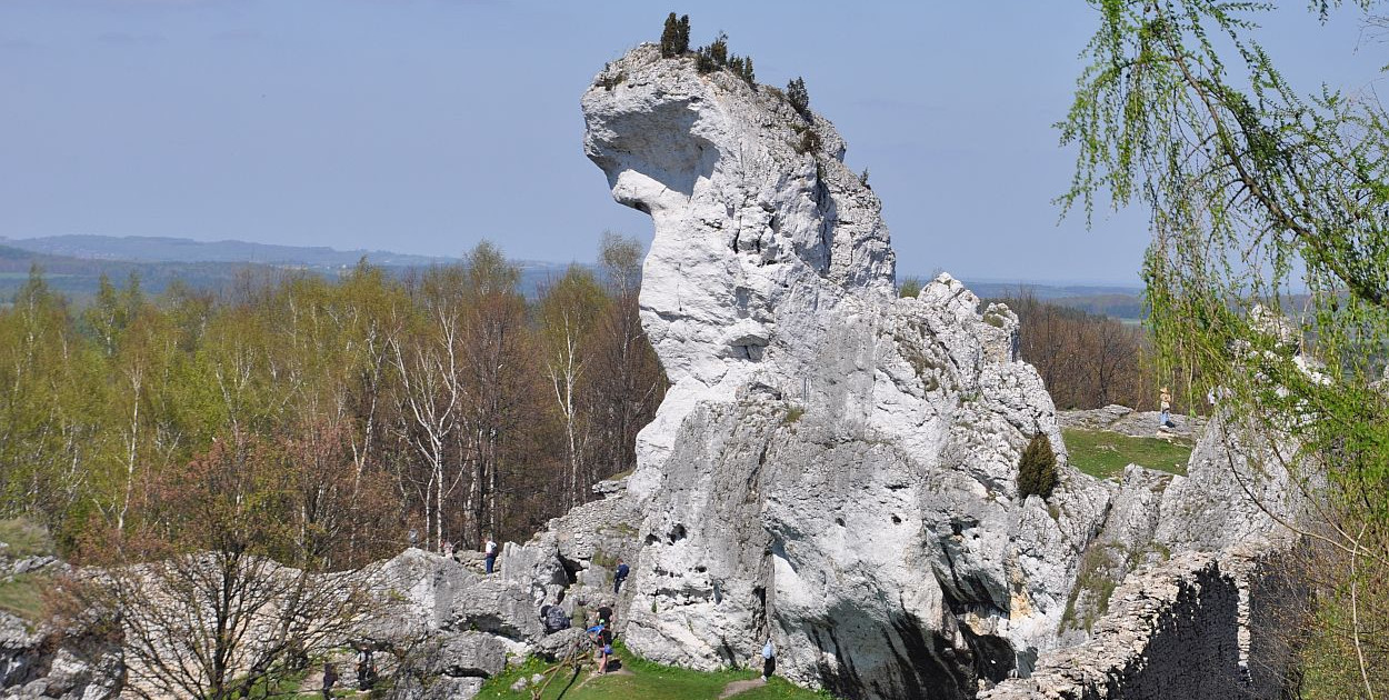  Jurajskie radości i smutki. Szlakiem Orlich Gniazd [przedruk z miesięcznika "Śląsk"]