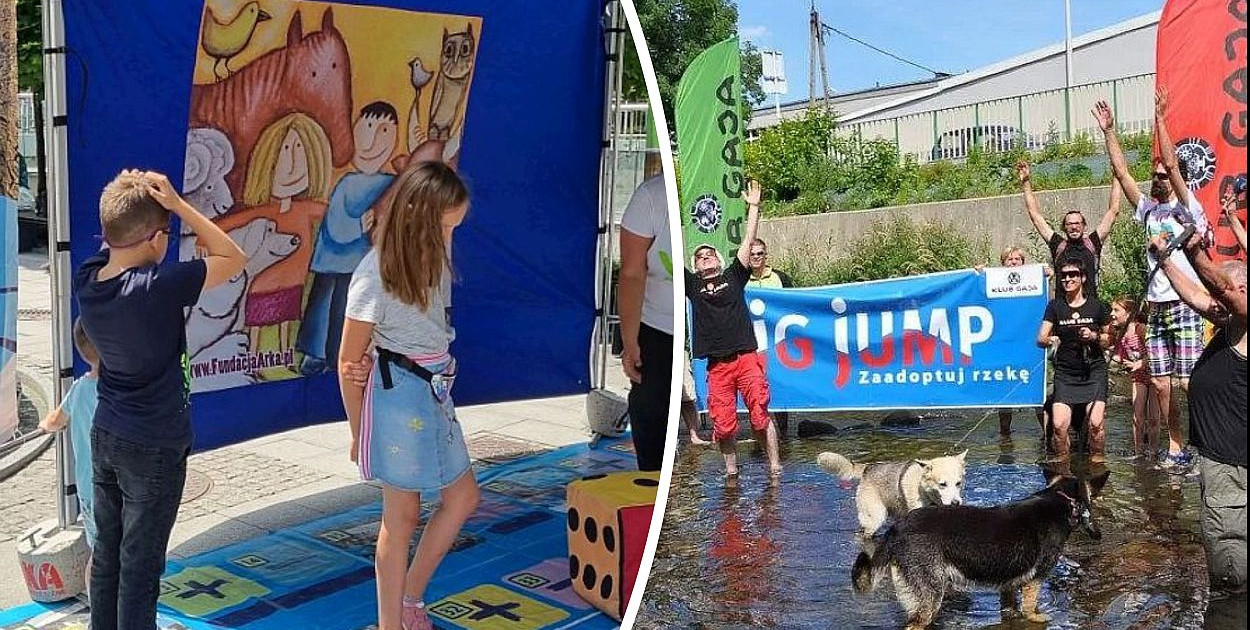 fot. ilustrujące