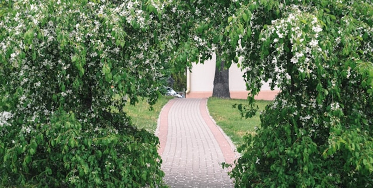 Co warto uwzględnić podczas projektowania ogrodu?