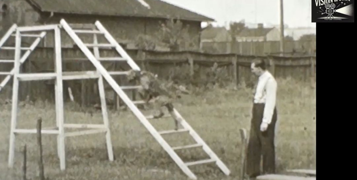  Pokaz tresury psa - Bielsko 1937 - Adolf Manhardt