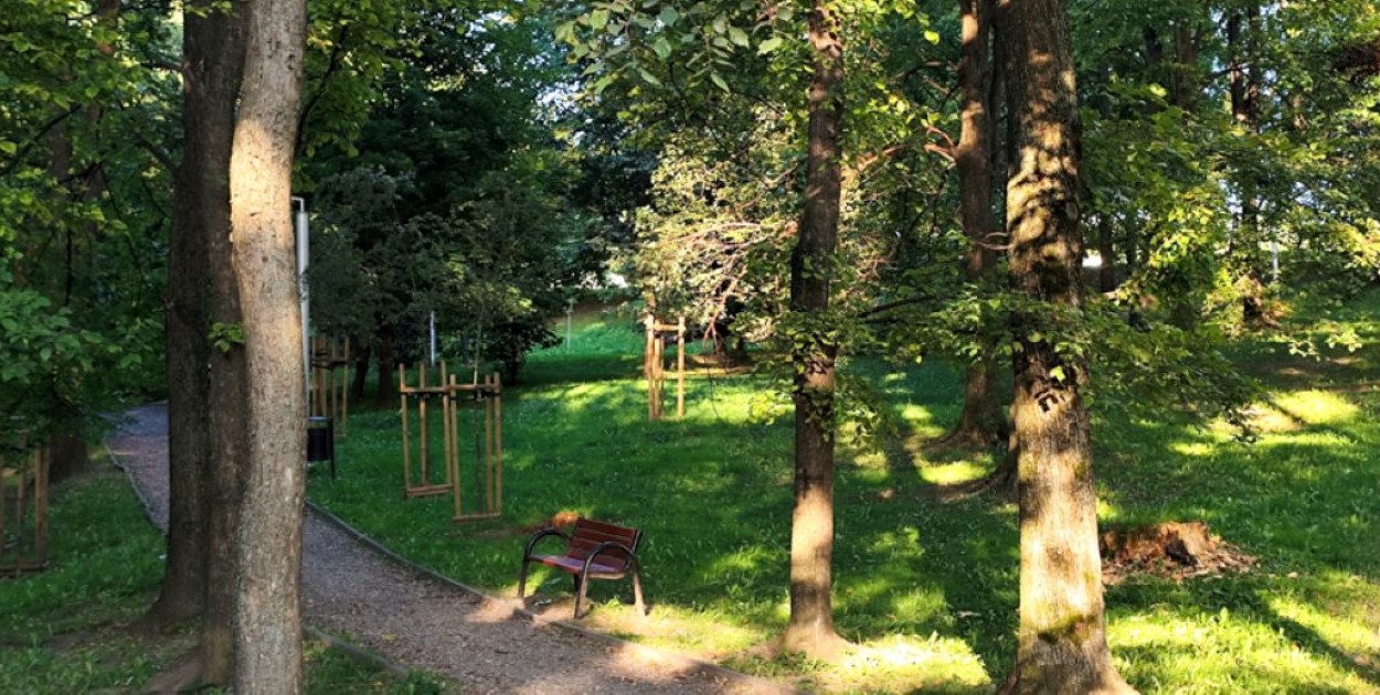Ogródek jordanowski przy ulicy Wyzwolenia - widok obecny