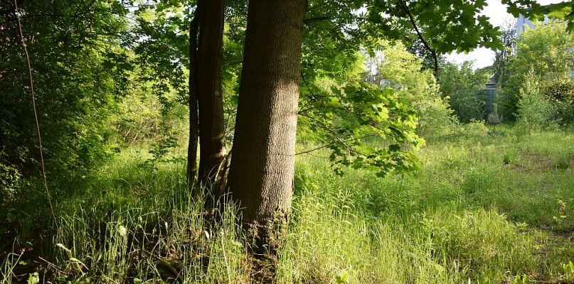 Pawilon lodowy i zarośnięte korty