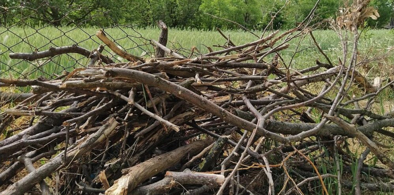 W Nadleśnictwie Bielsko, podobnie jak i w całych Lasach Państwowych na terenie kraju, można własnoręcznie pozyskać drewno na opał na użytek własny. Nadleśnictwo wyjaśnia, jak zrobić to legalnie i zgodnie z przepisami.