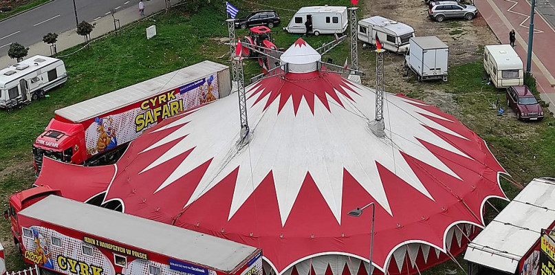 Międzynarodowe show ,,Alegria'' Cyrku Safari w Bielsku-Białej. Cyrk bez zwierząt!