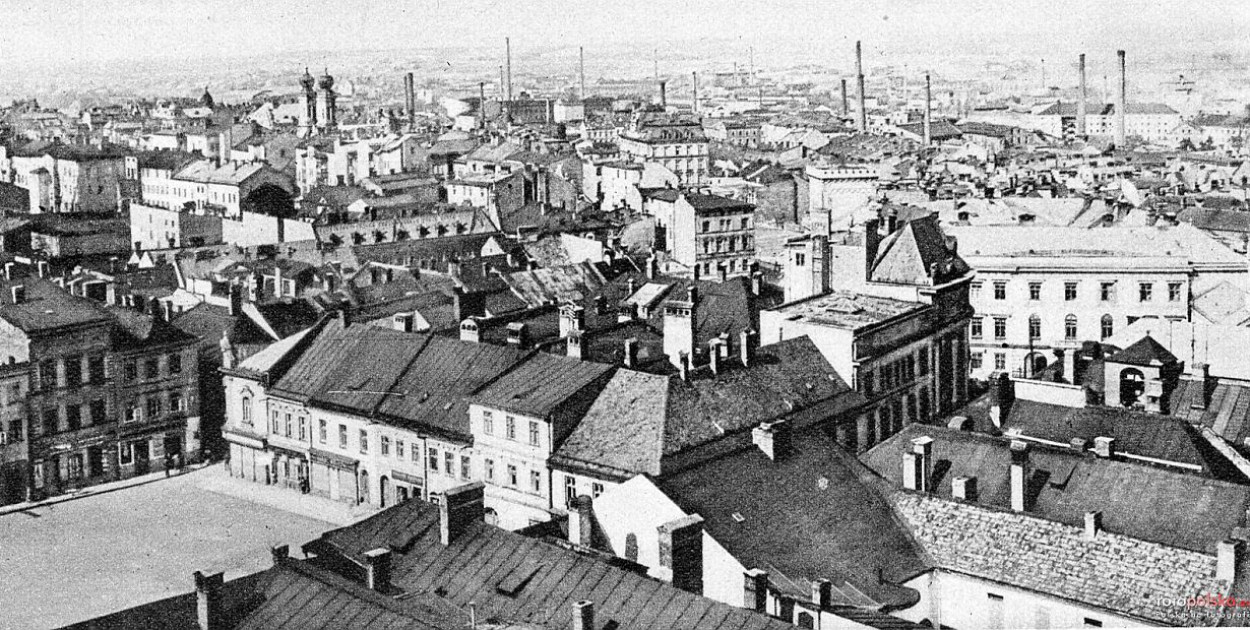 Widok z Katedry św. Mikołaja / fot. FOTOPOLSKA