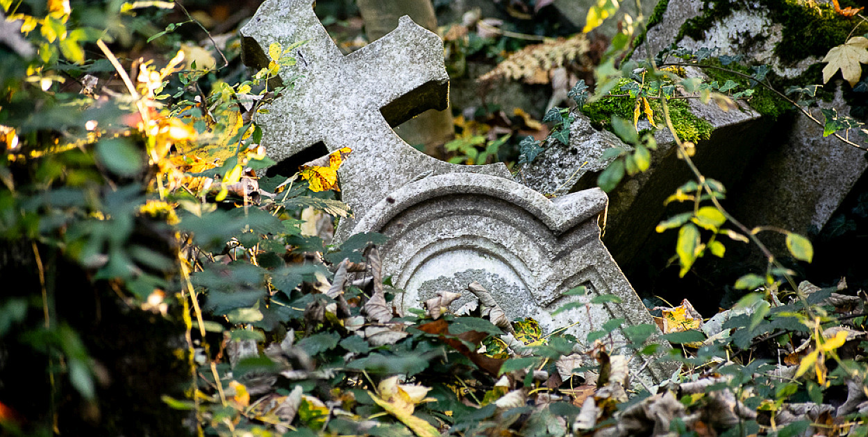 Stary cmentarz ewangelicki w Bielsku-Białej. Świadectwo dawnych czasów wśród ruin i zapomnienia