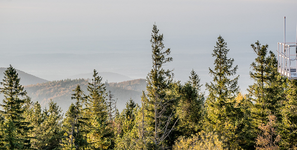 Widok z Szyndzielni