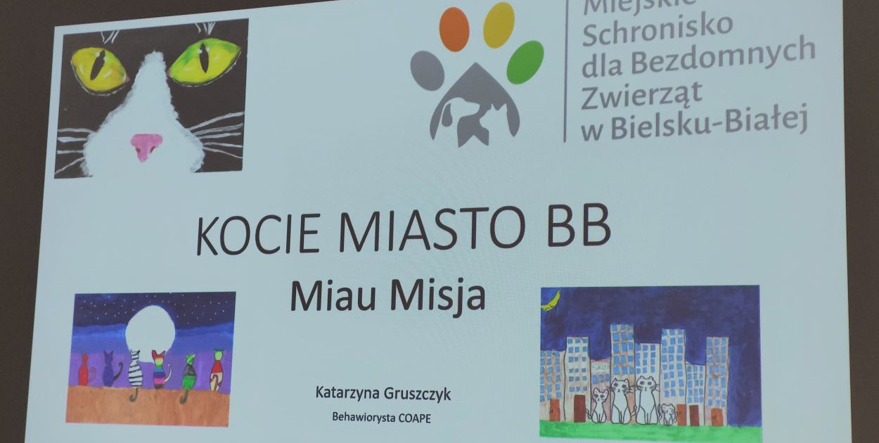 Kocie Miasto BB MIAU MISJA