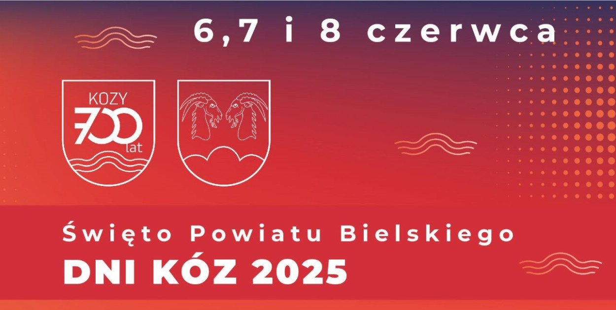 Plakat organizatora 