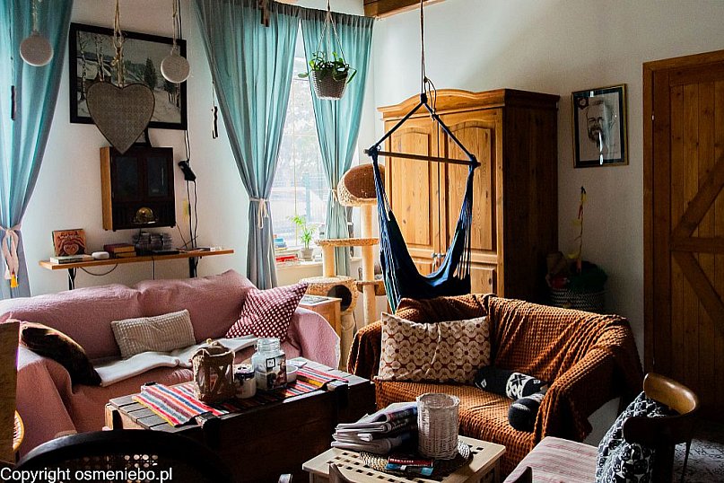 8 niebo nie tylko dla kotów