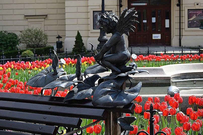 Bielsko-Biała w tulipanach