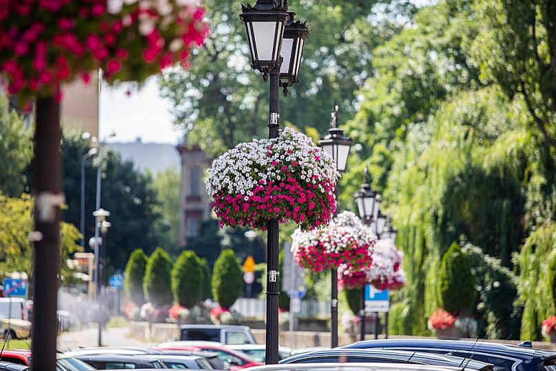 Ukwiecone miasto Bielsko-Biała startuje ponownie w plebiscycie