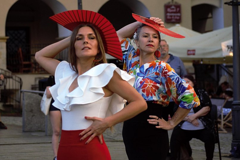 Flashmob Flamneco w strugach deszczu