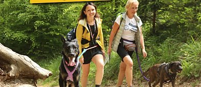 Puchar Polski w dogtrekkingu-856