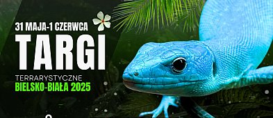 EXOTICARIUM Targi Terrarystyczne-874