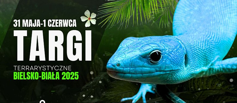 EXOTICARIUM Targi Terrarystyczne